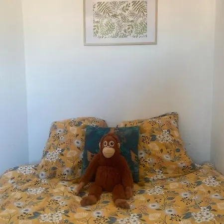 Proche Des Plages Appartement