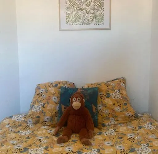 Proche Des Plages Appartement